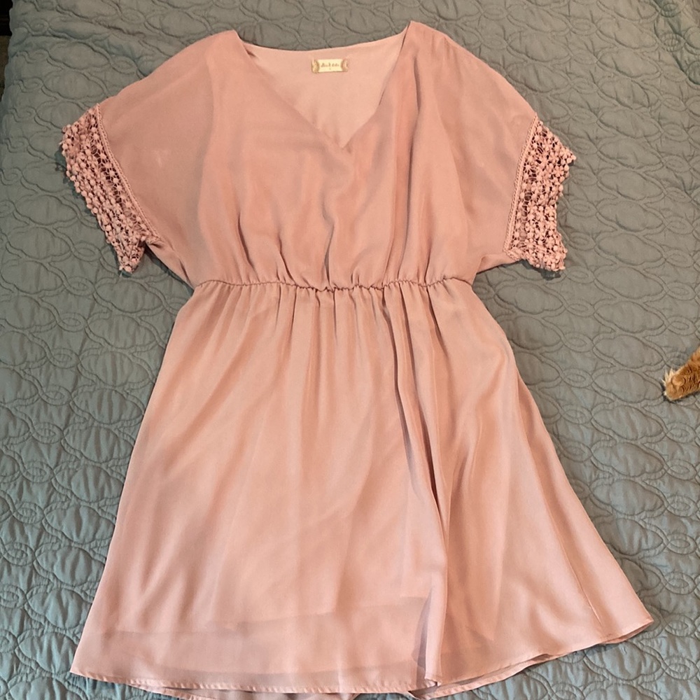 Light pink Altar’s State dress